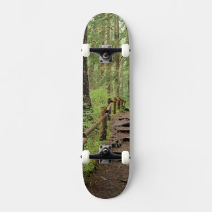 Skate WA, Olimpiadas NP, Sol Duc Valley, floresta tropic