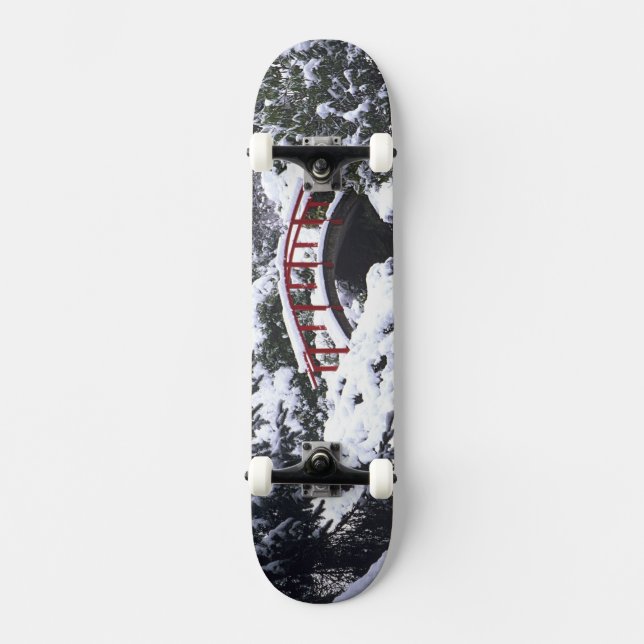 Skate WA, Seattle, Ponte da Lua e lago após o inverno 2 (Frente)