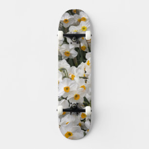 Skate WA, Vale do Skagit, padrão de narcisos