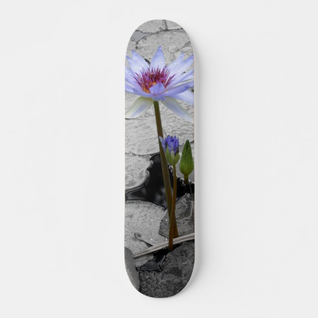 Skate Water Lily Beauty (Frente)