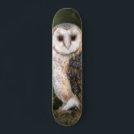 Skate Western Barn Owl - Migned Watercolor Painting Art<br><div class="desc">Western Barn Owl - Migned Watercolor Painting Art Beautiful Forest Bird</div>
