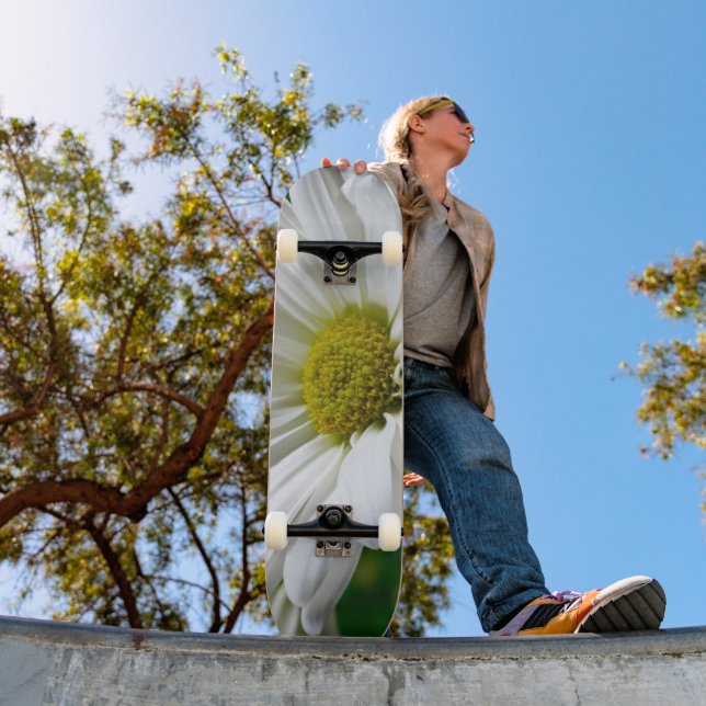 Skate White Daisies (Ao ar livre 1)