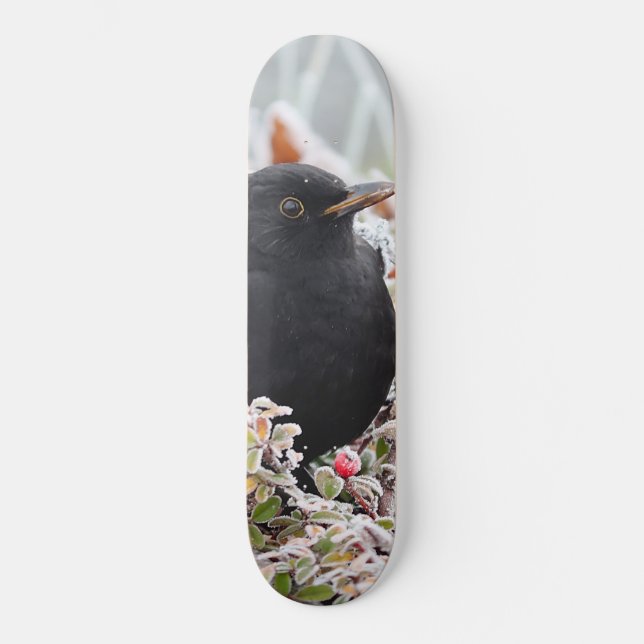 Skate Winter Blackbird (Frente)