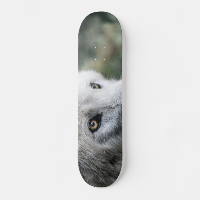 Skate Wolf Stare (Frente)