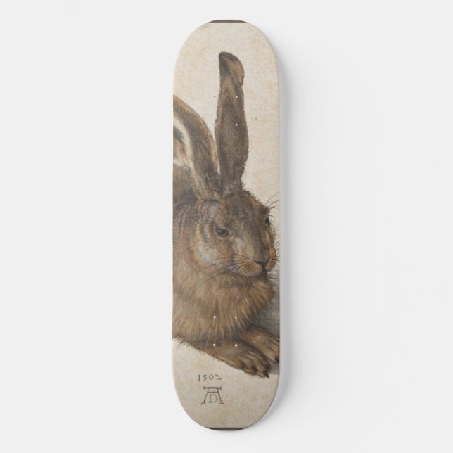 Skate Young Hare por Albrecht Durer (Frente)