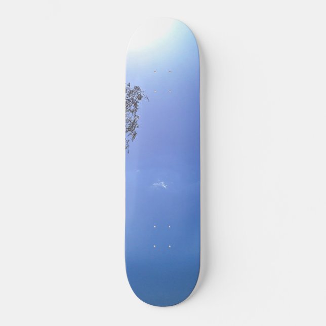 SKATEBOARD  (Frente)