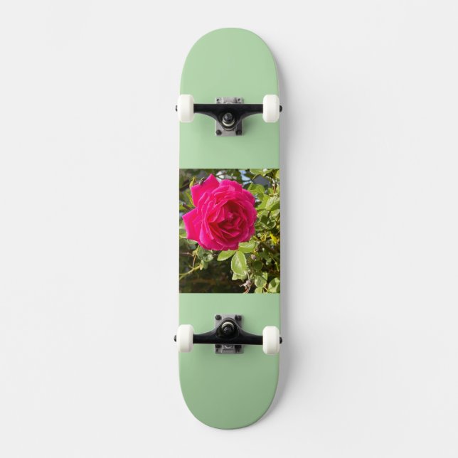 Skateboard (Frente)