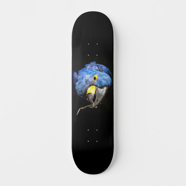 Skateboard Blue Macaw (Frente)