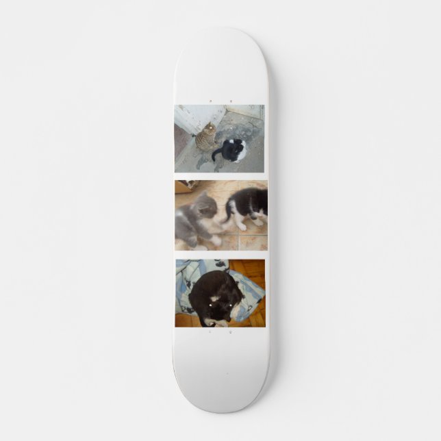 Skateboard Cat (Frente)