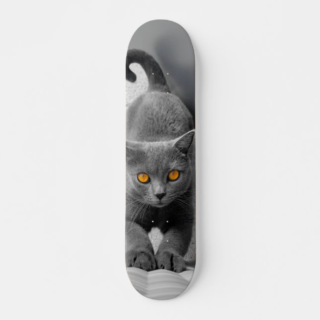 Skateboard Curioso gato británico de pelo corto (Frente)
