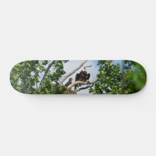 Skateboard de Águias Quentes