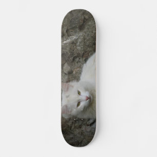 Skateboard de Gato Branco