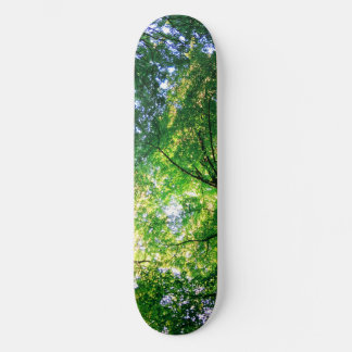 Skateboard do LiveGreen