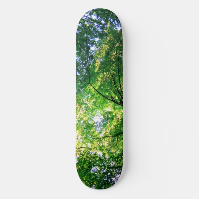 Skateboard do LiveGreen (Frente)