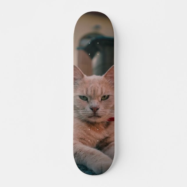 Skateboard Gato atigrado naranja con seria actitud (Frente)