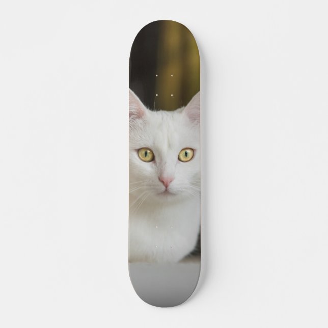 Skateboard Gato blanco con ojos amarillos (Frente)