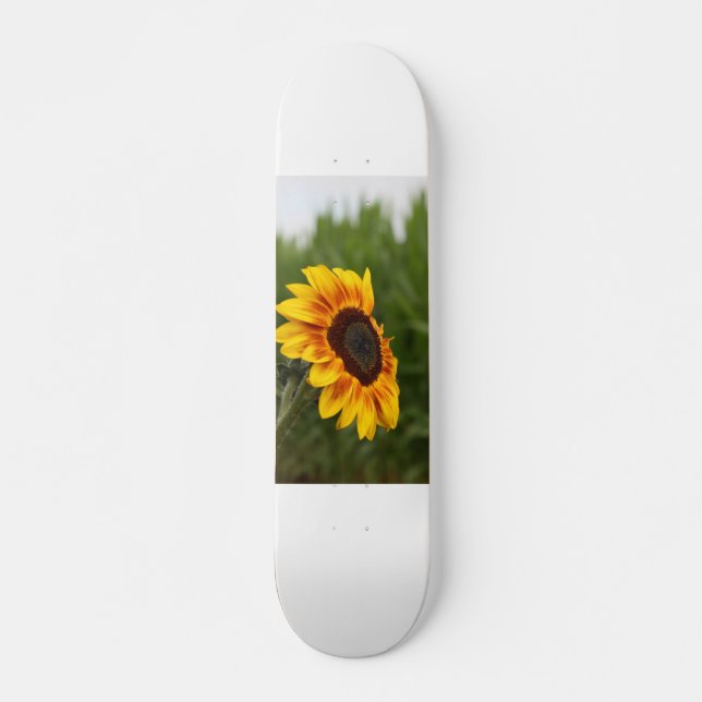 Skateboard Girassol (Frente)
