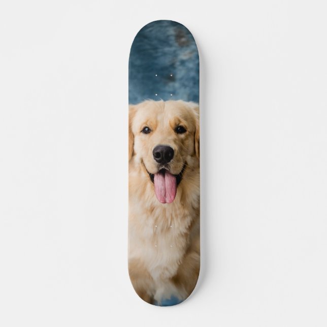 Skateboard Inteligente perro Labrador  (Frente)