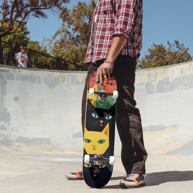 SKATEBOARD LEGAL DO TAMPA DE GATO (Ao ar livre 2)