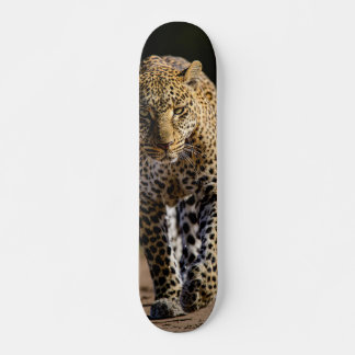 Skateboard Leopardo peligroso depredador