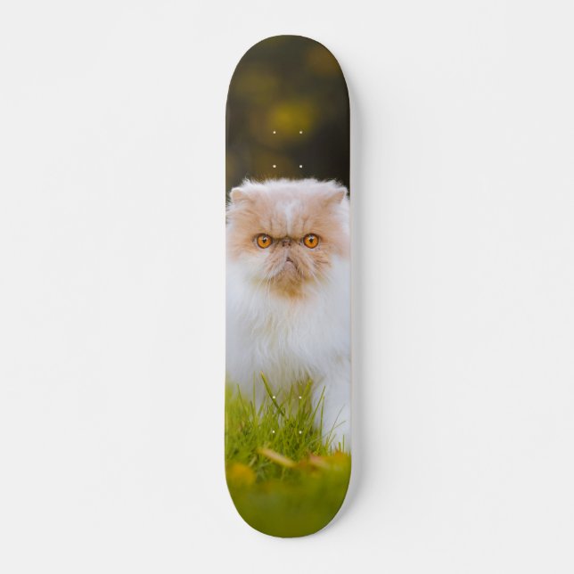 Skateboard Peludo gato persa observando (Frente)