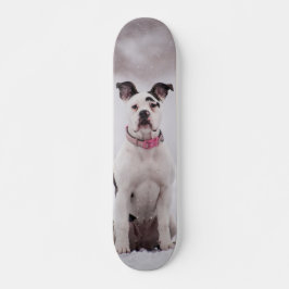 Skateboard Perro Boxer sentado en la nieve
