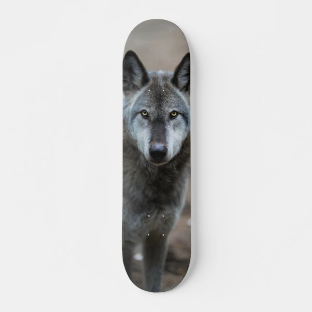 Skateboard Perro lobo salvaje depredador curioso (Frente)