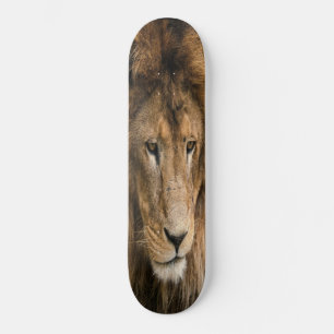 Skateboard poderosamente construída LION