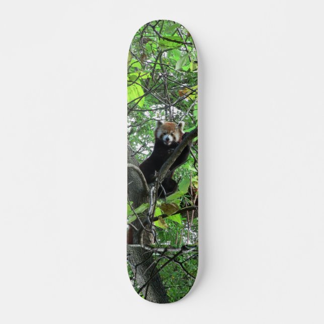 Skateboard Red Panda (Frente)
