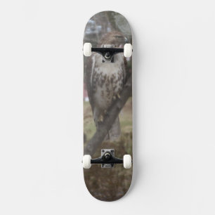 Skateboard Red-tail Hawk - Escolha o seu pavimento