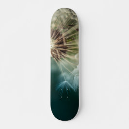 Skateboard - Sementes de Dente-de-Leão