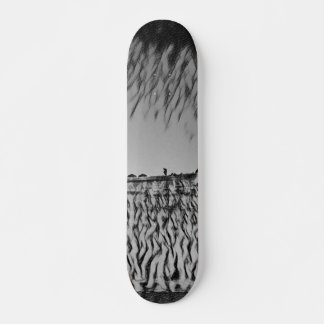 SKATEBOARD STYLE AND DESIGN