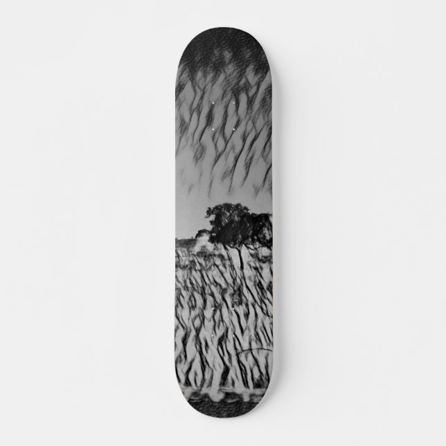 SKATEBOARD STYLE AND DESIGN (Frente)