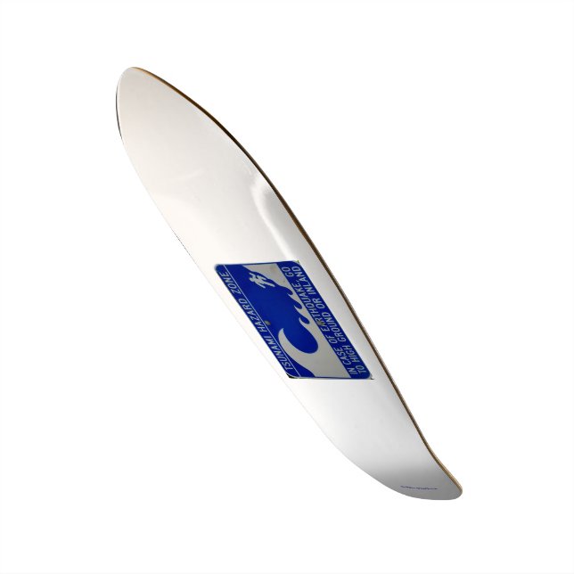 skateboard - tsunami zone (Frente)