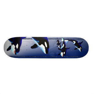Skates da família da baleia de assassino