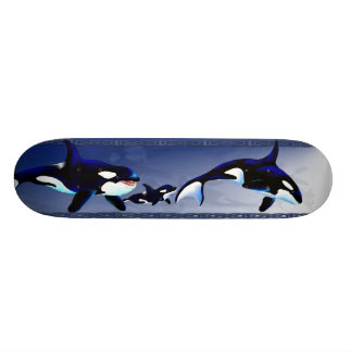 Skates da família da baleia de assassino