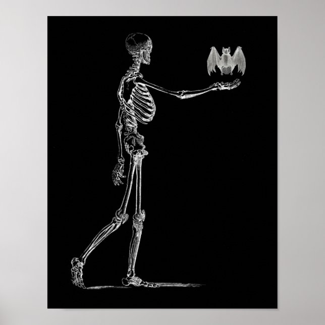 Skeleton e Bat Poster (Frente)