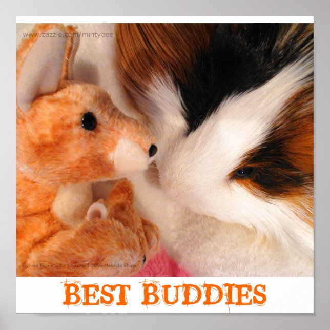 Skippy Pig & Roo Stuffy Poster (Frente)