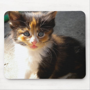 Skittles Mousepad