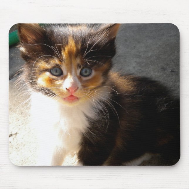 Skittles Mousepad (Frente)