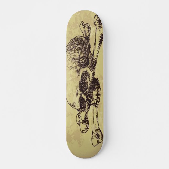 Skull Skateboard (Frente)