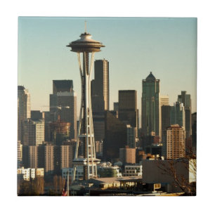 Skyline de Seattle e agulha do centro do espaço