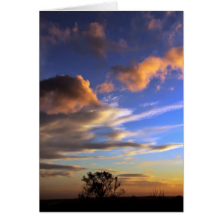 Skyscapes: Cartão da sarjeta de Ferntree