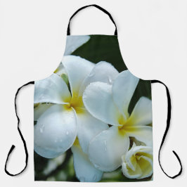 Sleek elegance: the white frangipani flower