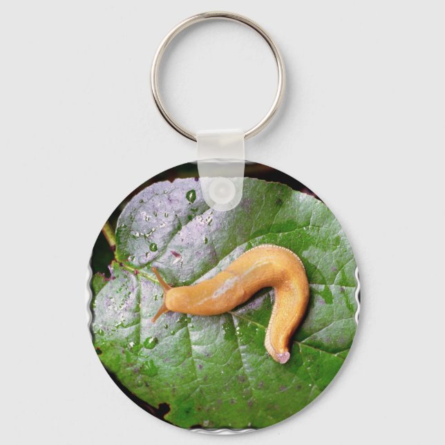 Slug on Leaf Chaveiro (Frente)