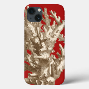 Small Coral in Red