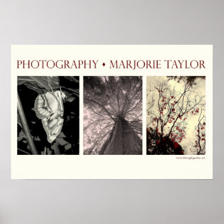 Small Poster (22.5 x 15 in.)