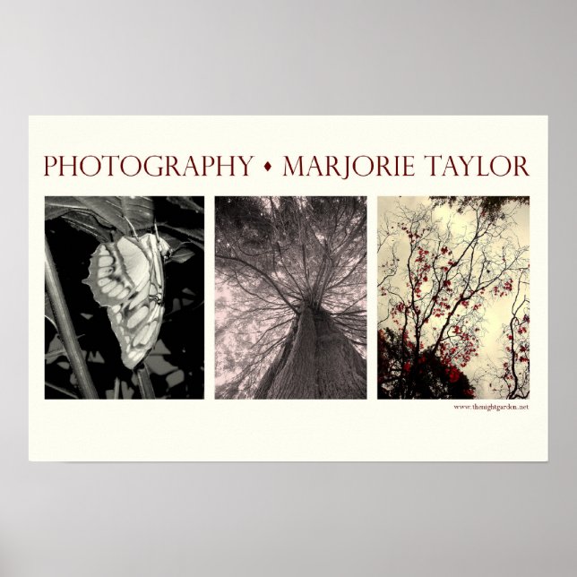 Small Poster (22.5 x 15 in.) (Frente)