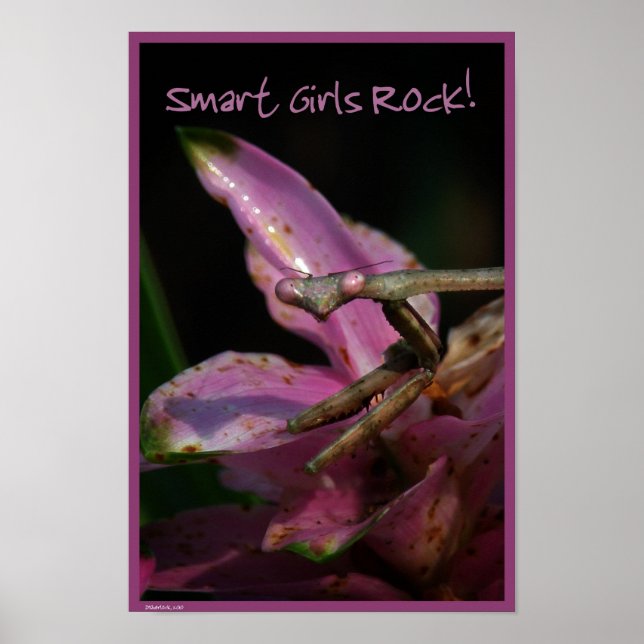 Smart Girls Poster (Frente)