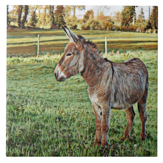 smartmix animal- burro 1 (Frente)